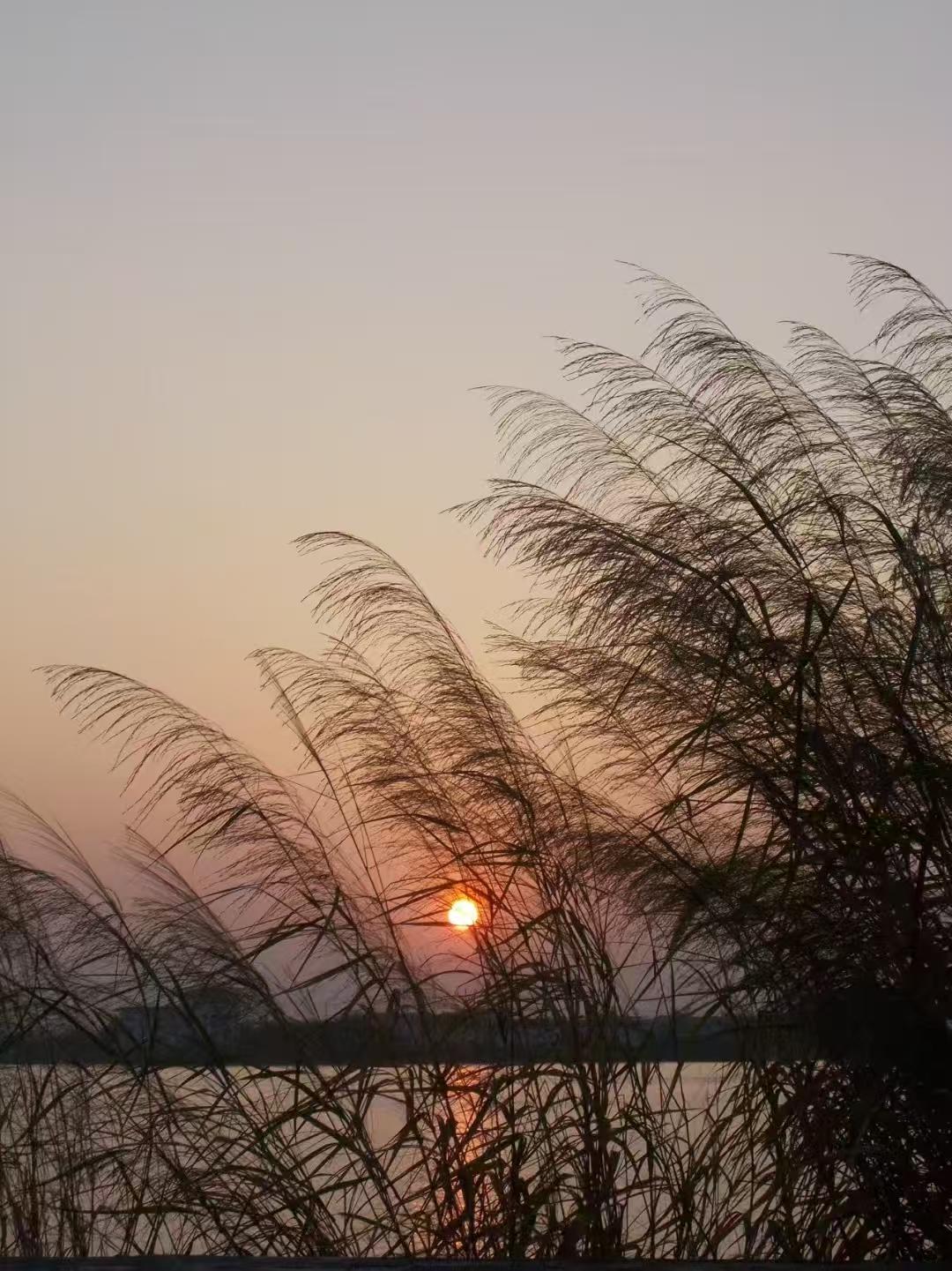 日子缓缓向前，温柔藏在每一个细节里。认真生活，用心感知，平凡的时光也能满是治愈与