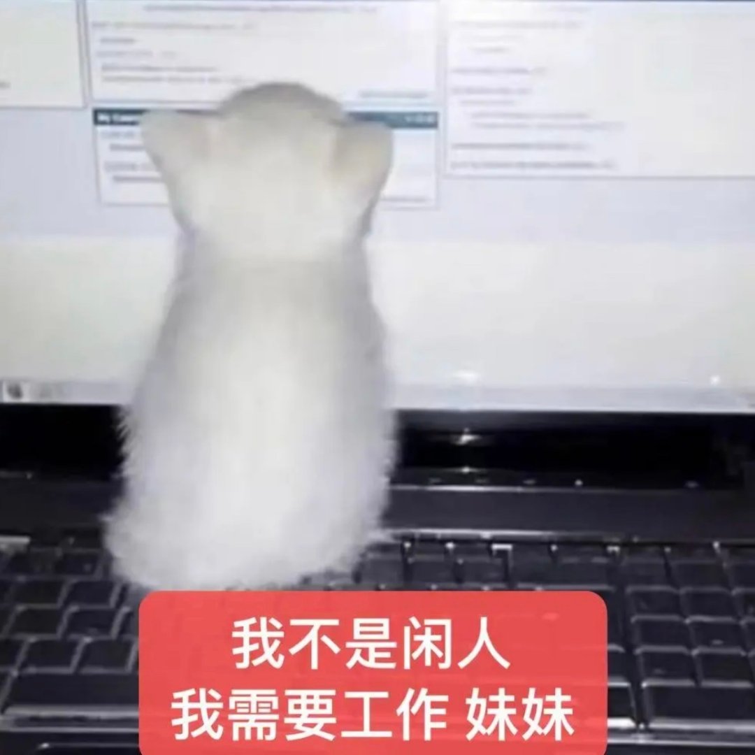 分享图片 