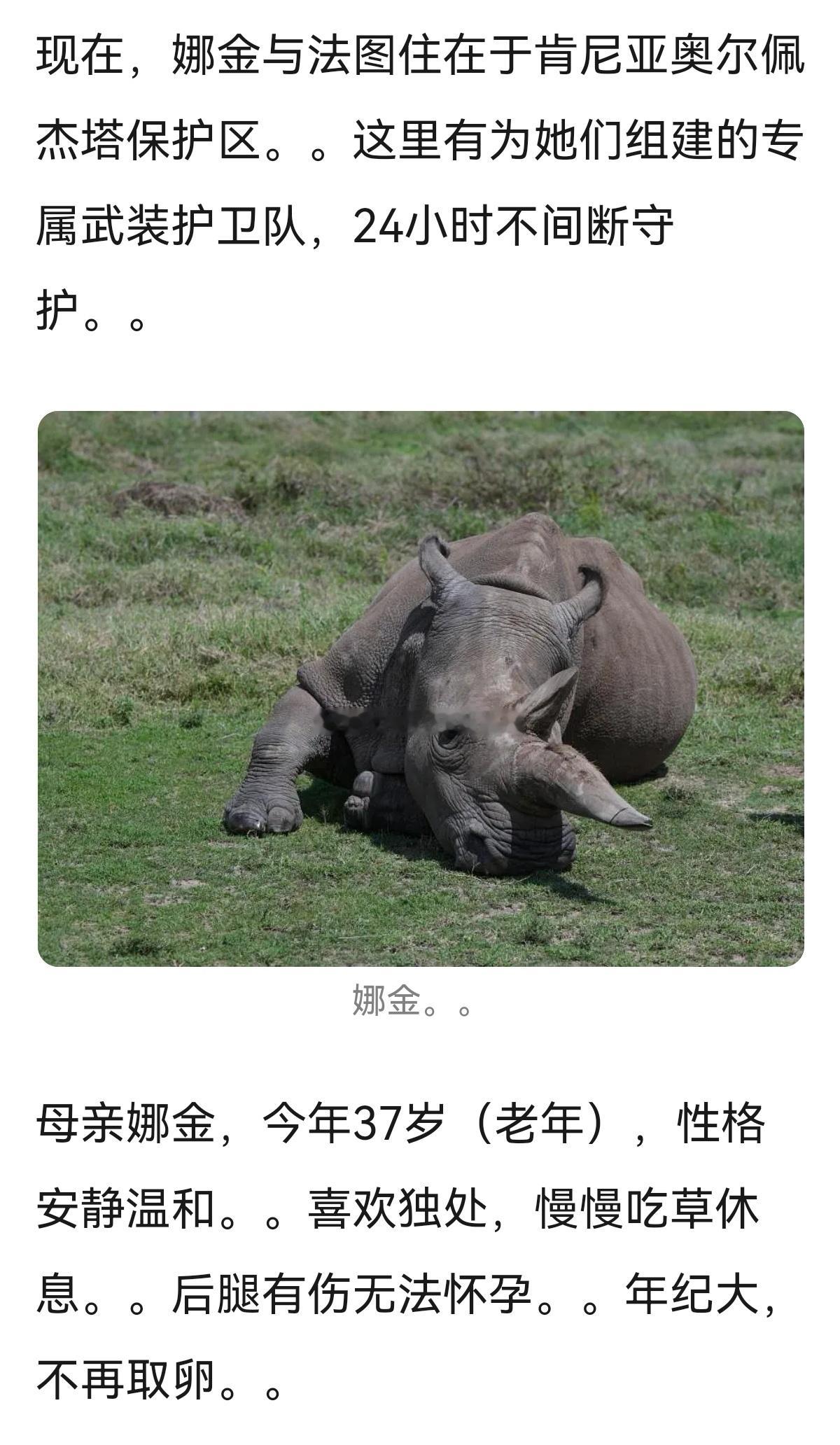 世界上最后两只北部白犀牛，是妈妈和女儿，和妈妈一起走完犀牛生，也是很幸福的结局～