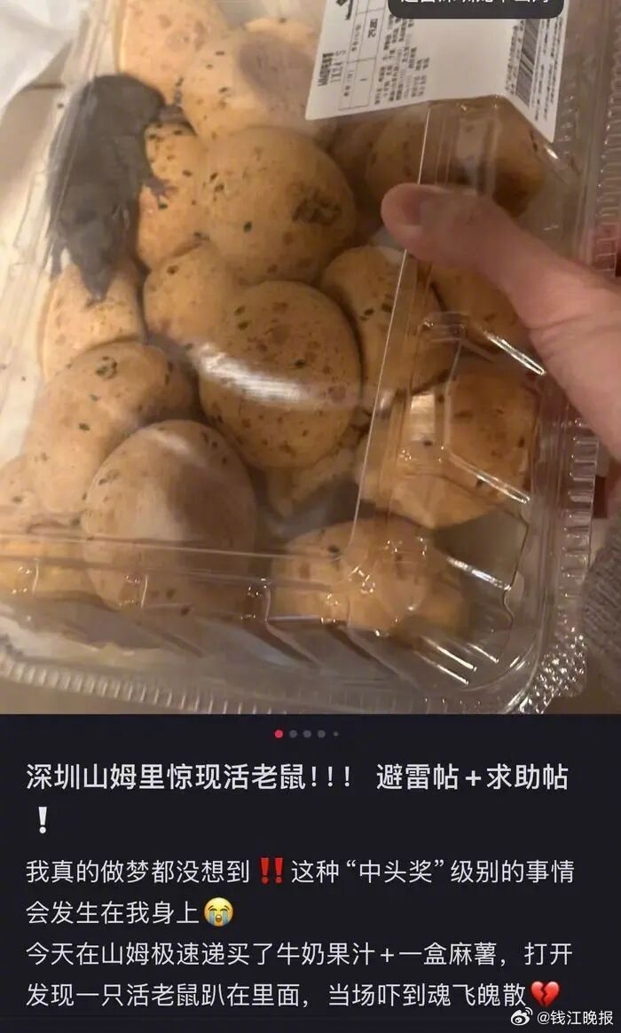 【麻薯盒内出现活老鼠，#山姆致歉#：系在取货点放置期间，被周边虫害偶然侵入所致】