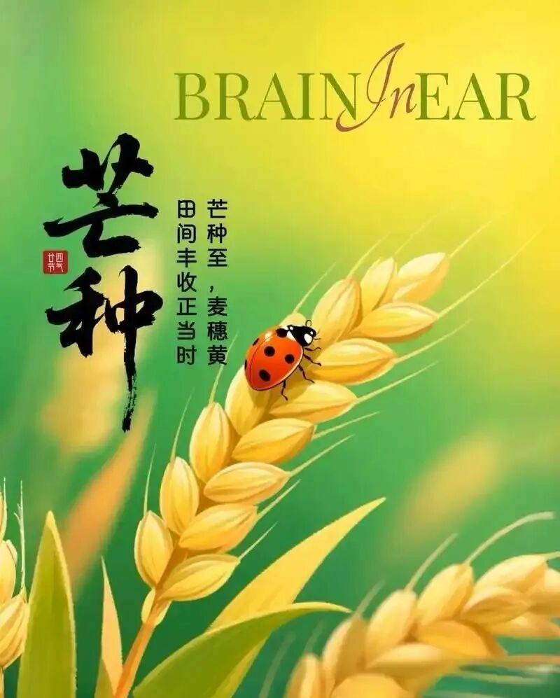 6月5日芒种，农业耕种最忙的季节，也是我国最重要的农耕文化节气，既要忙着收割麦子