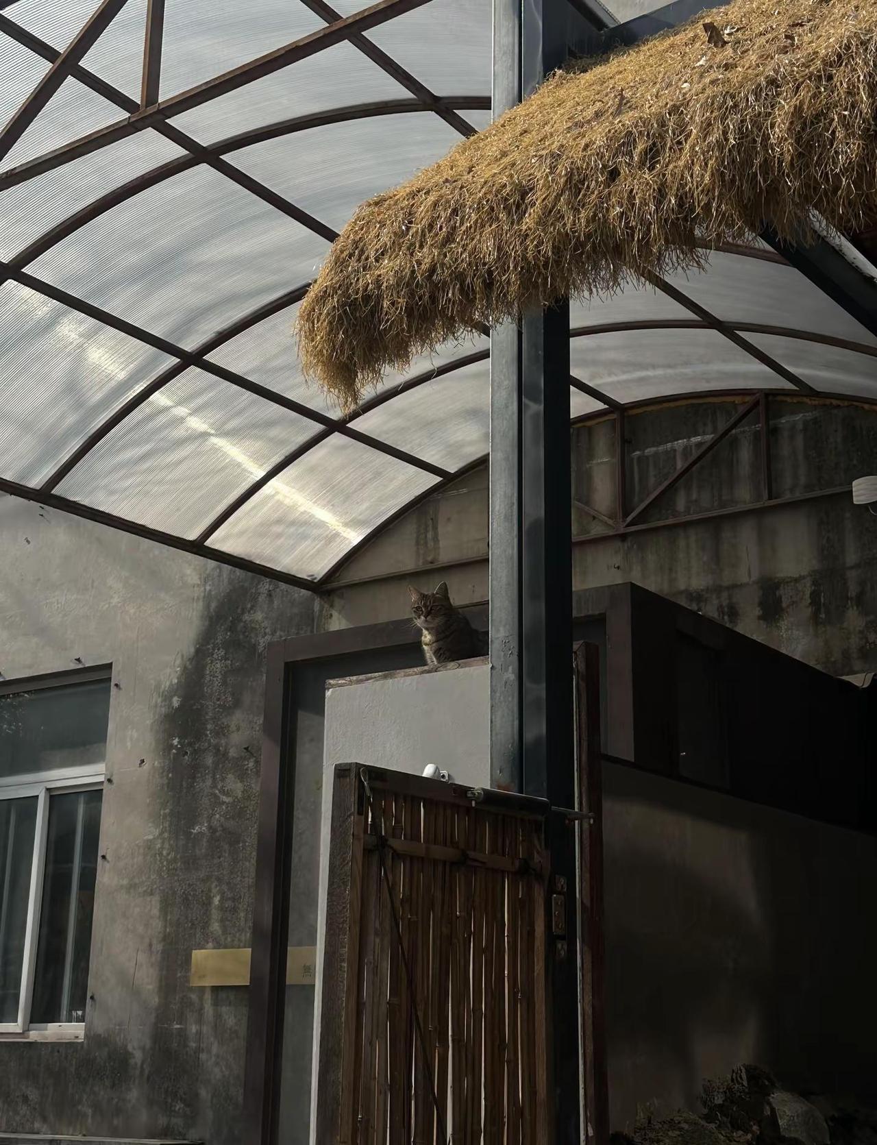 细品生活。就像嘴里嚼着的每一口食物一样，认认真真地去细品…