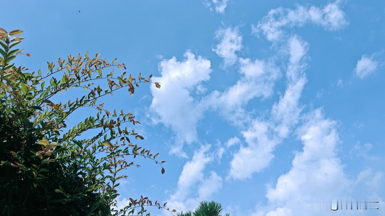 今日分享随手拍照片