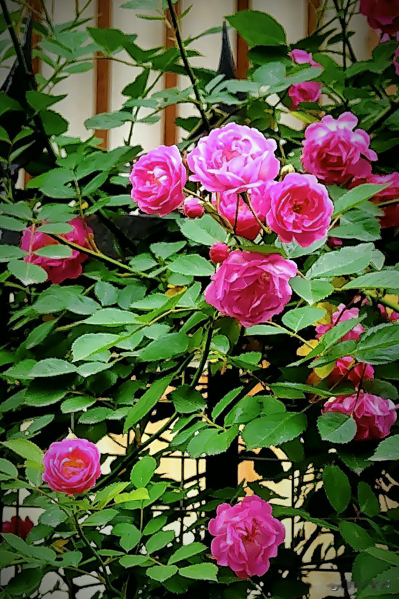 不知何时，它已开；
不知何时，它会谢；
轻风拂过一簇簇温柔的张扬，
把整个春天揉