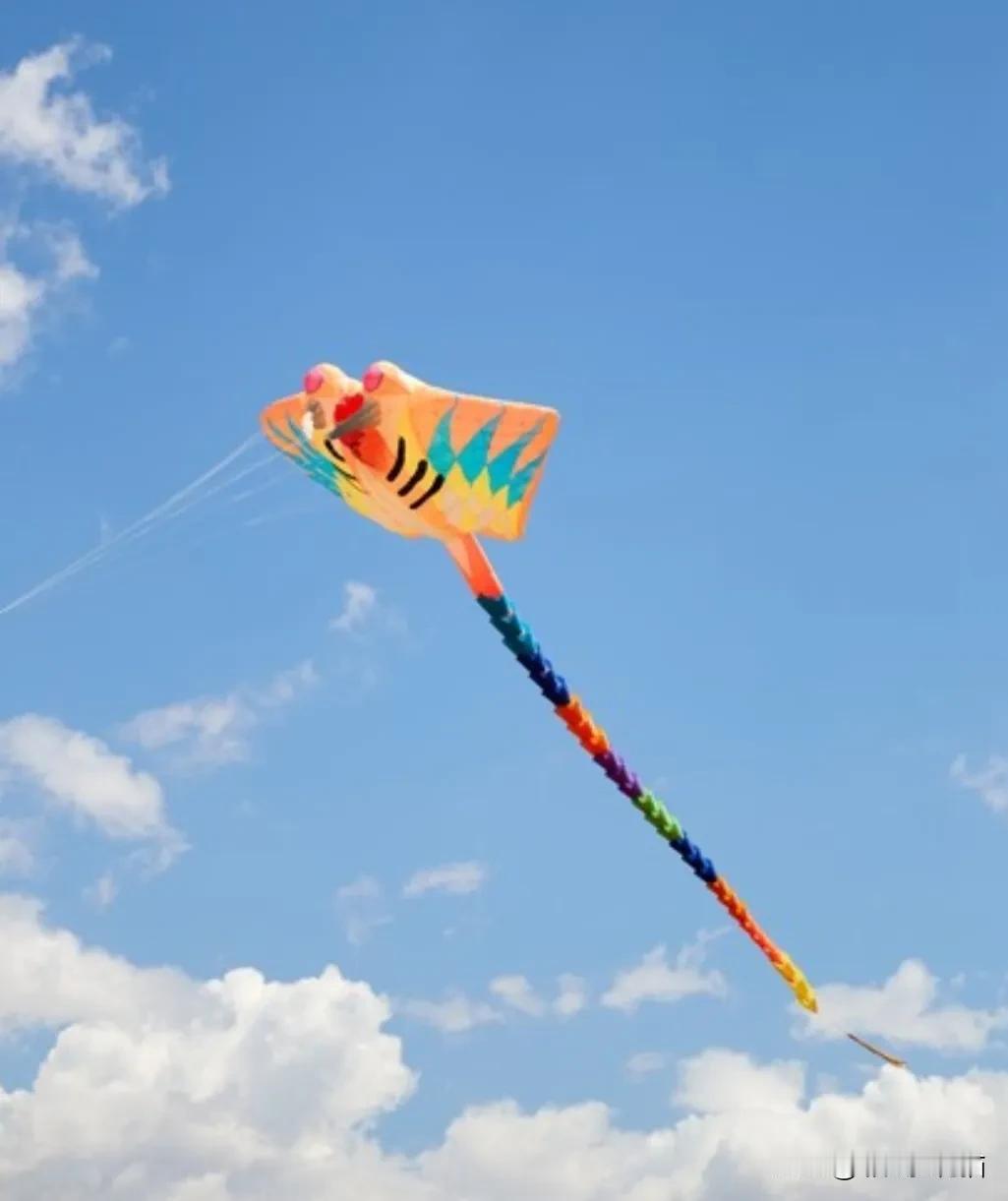 天安门广场上风筝的委屈，看着真挺气人！
广场上风悠悠的，一位50多岁的大哥正专心