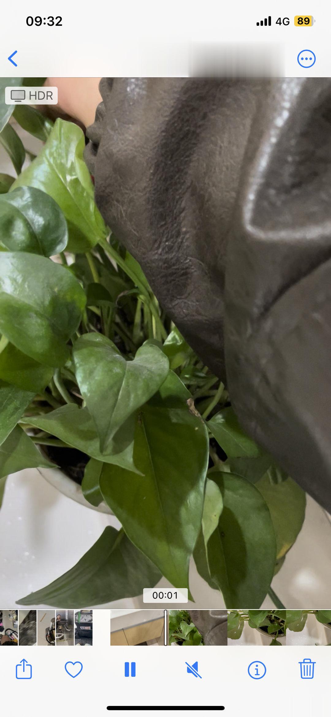 很新型的藏宝游戏，就很有意思。我发了一个坐标过去，然后她照着找。快被自己机灵死了