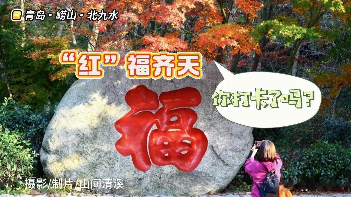 打卡青岛崂山北九水，“红”福齐天，好运连连！这份秋日的祝福，您收到了吗？

秋日