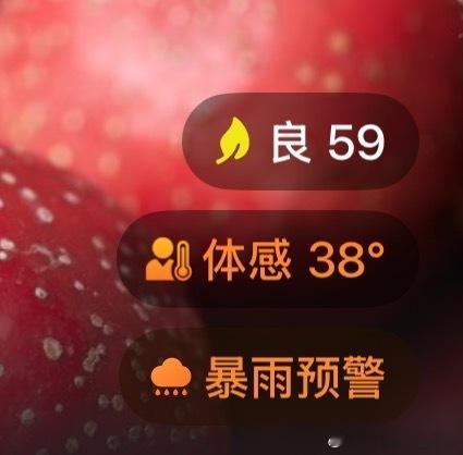 马思纯在40度的巴黎穿皮衣天呐！真是过分敬业了吧 但如此高温还是要多多注意身体才