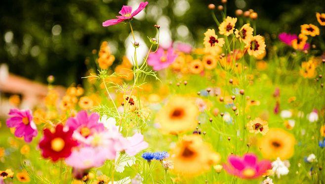 最近在思考这样一个问题？——同学几十年后差距哪这么大？

其实答案很简单——能管