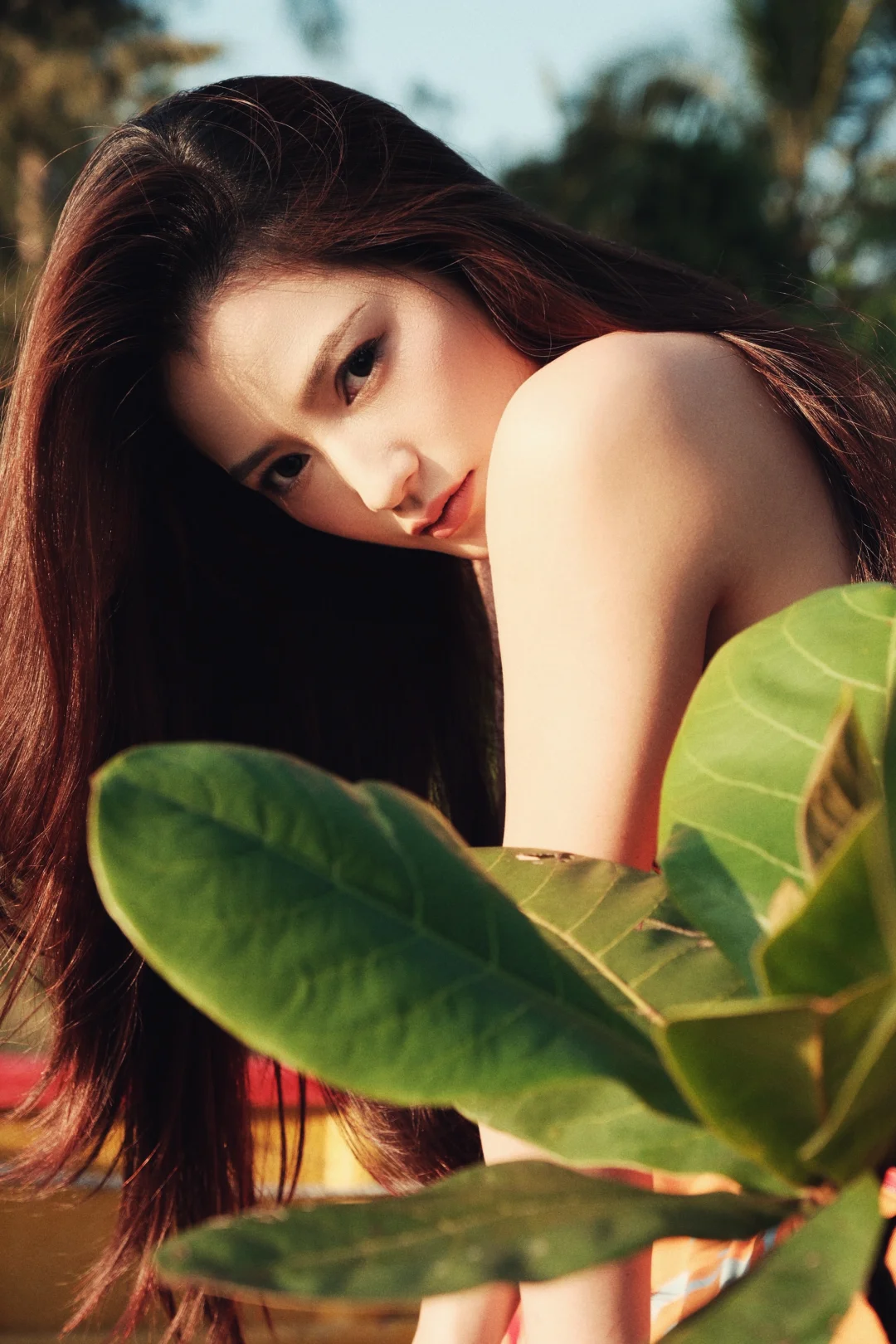 三亚｜到自然中去 自然的相处