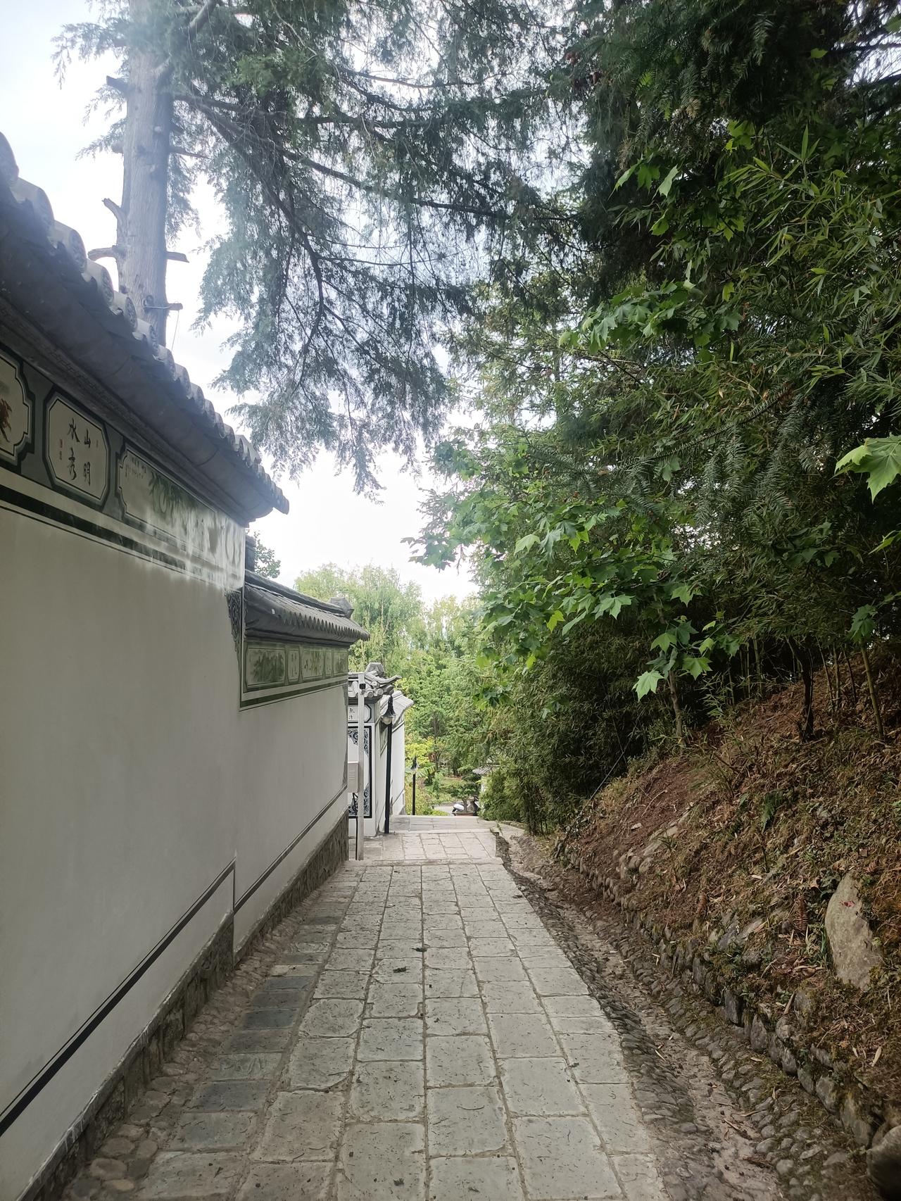随手拍自然风光