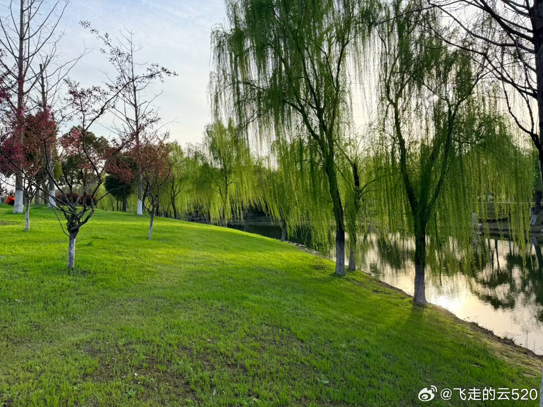 南通的春天，挺好的 