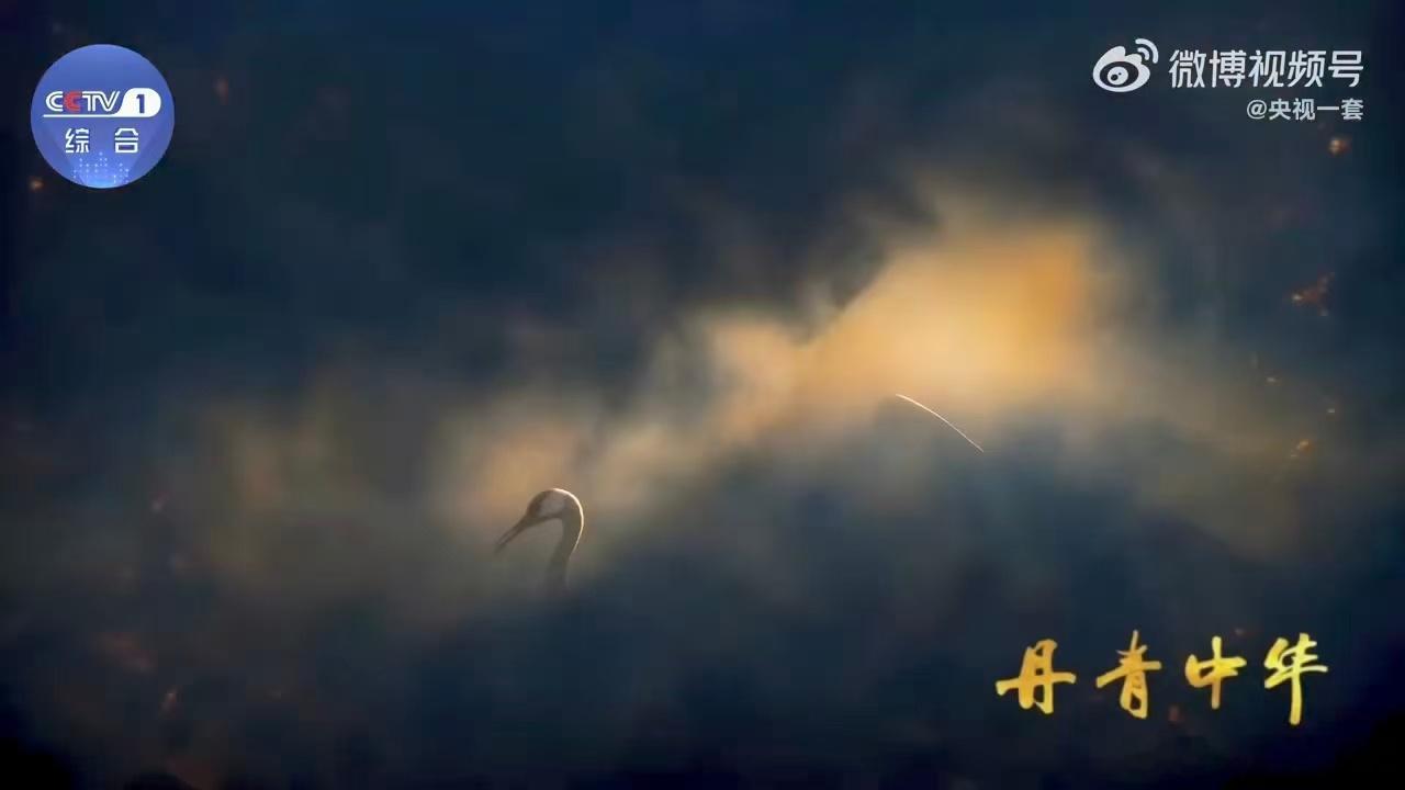 宋代审美瑞鹤图 青空为底，祥鹤盘旋，殿宇静静伫立。《瑞鹤图》动起来的瞬间，仿佛穿