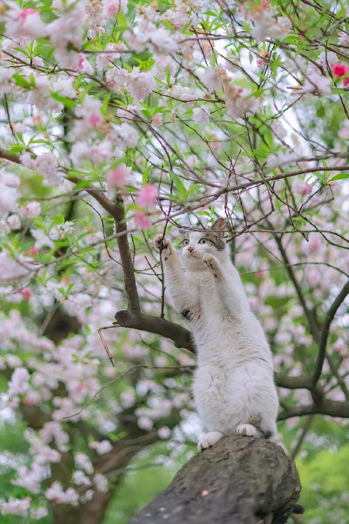 晚上，妻子忽然感叹：“你说为什么七八十年代的时候，幸福感那么强，而现在反而弱了许