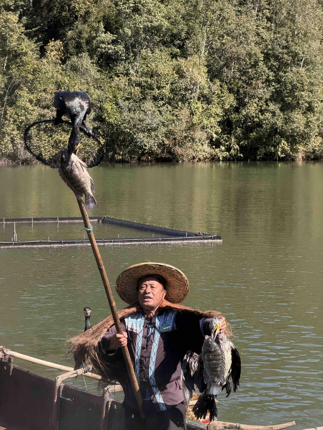 茶马古城，铃声依旧
在普洱，时间和气味常常是一起出现的。
🐴走进茶马古镇，最先