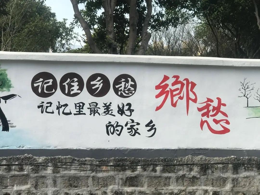 周末常回家看看！

悠闲的周六，天刚蒙蒙亮便自然醒来，站在窗前，感受到窗外的风带