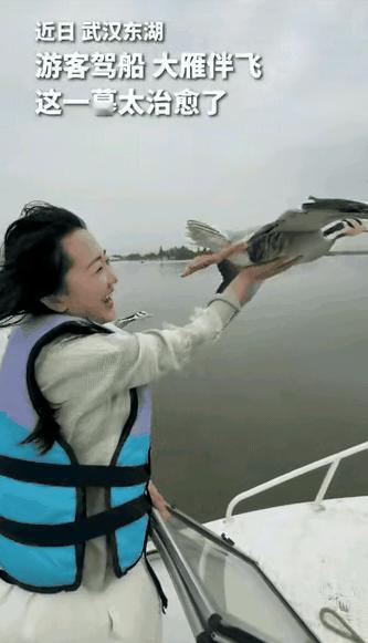 “没想到上人民日报了！”武汉，一女子驾船在湖上欣赏美景，突然飞来一群大雁和船并肩