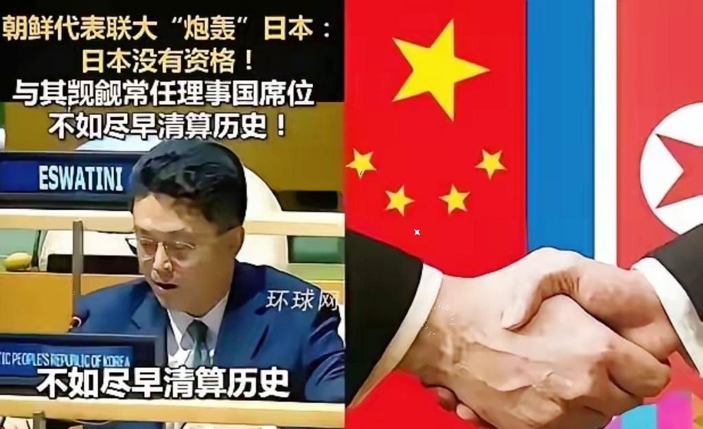 在联合国大会上，日本代表讲了半天自己想当安理会常任理事国的事，正说着呢，朝鲜代表