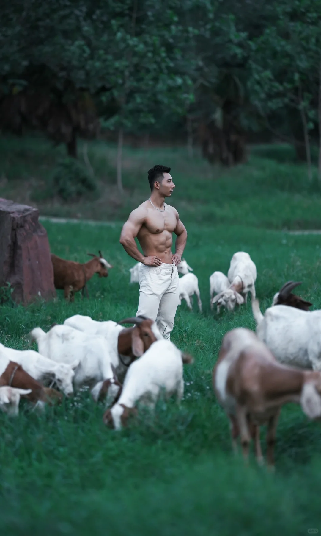 你的健身男友