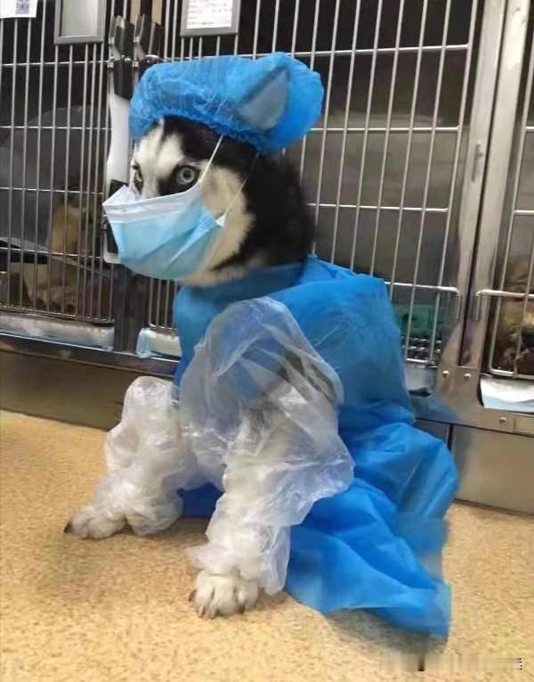 致敬前线的医护人员