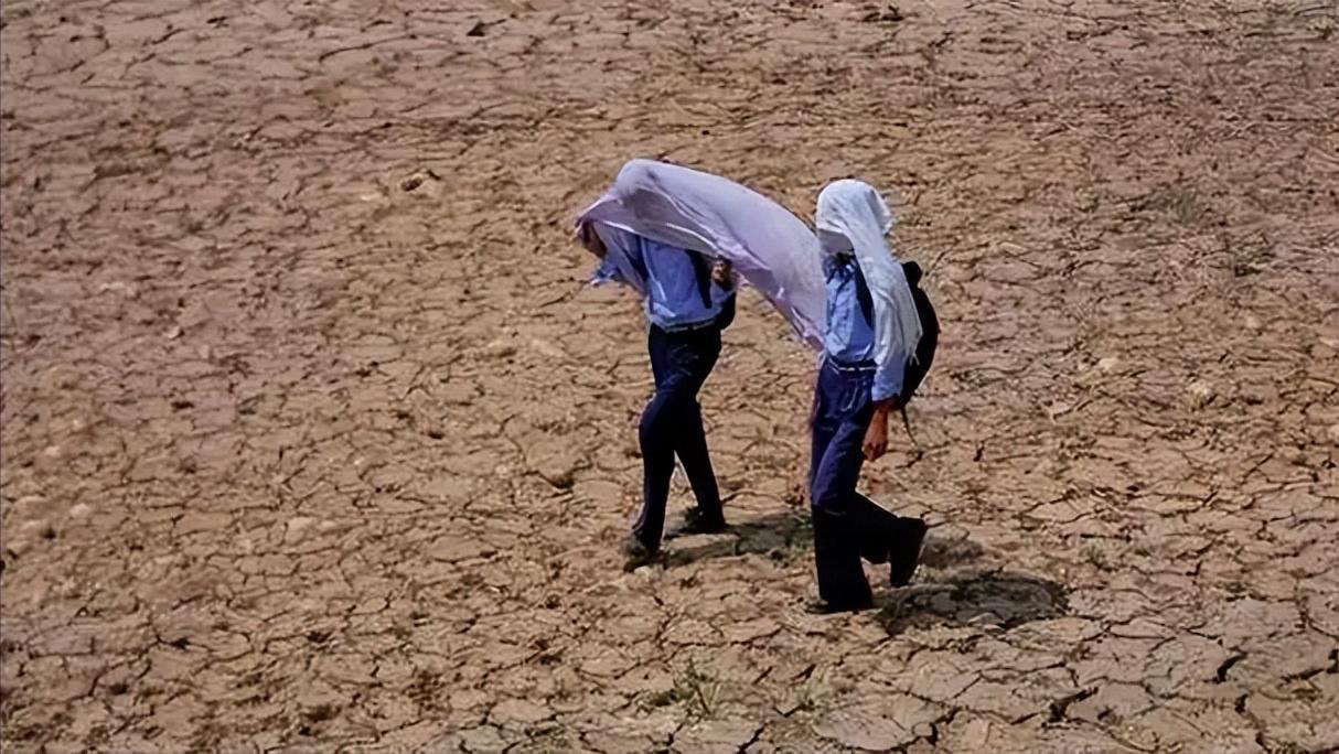 如果要评选今年的“地球最大烤箱”，印度绝对可以稳稳上榜。

印度北部多地气温狂飙