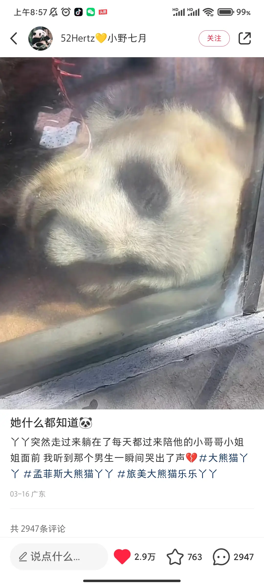 其实它都懂吧。