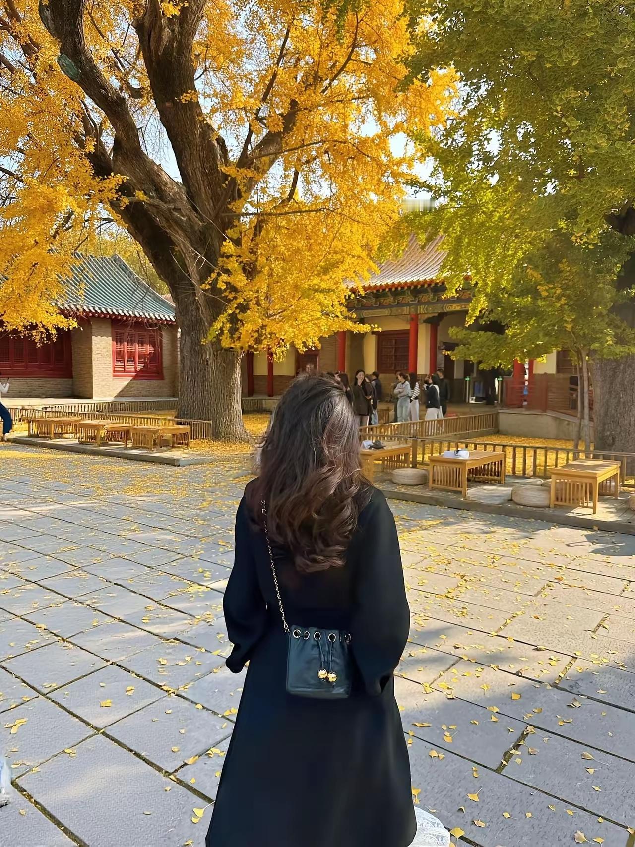 少花点时间去取悦别人
多花点时间
经营好自己
早安[点亮平安灯]