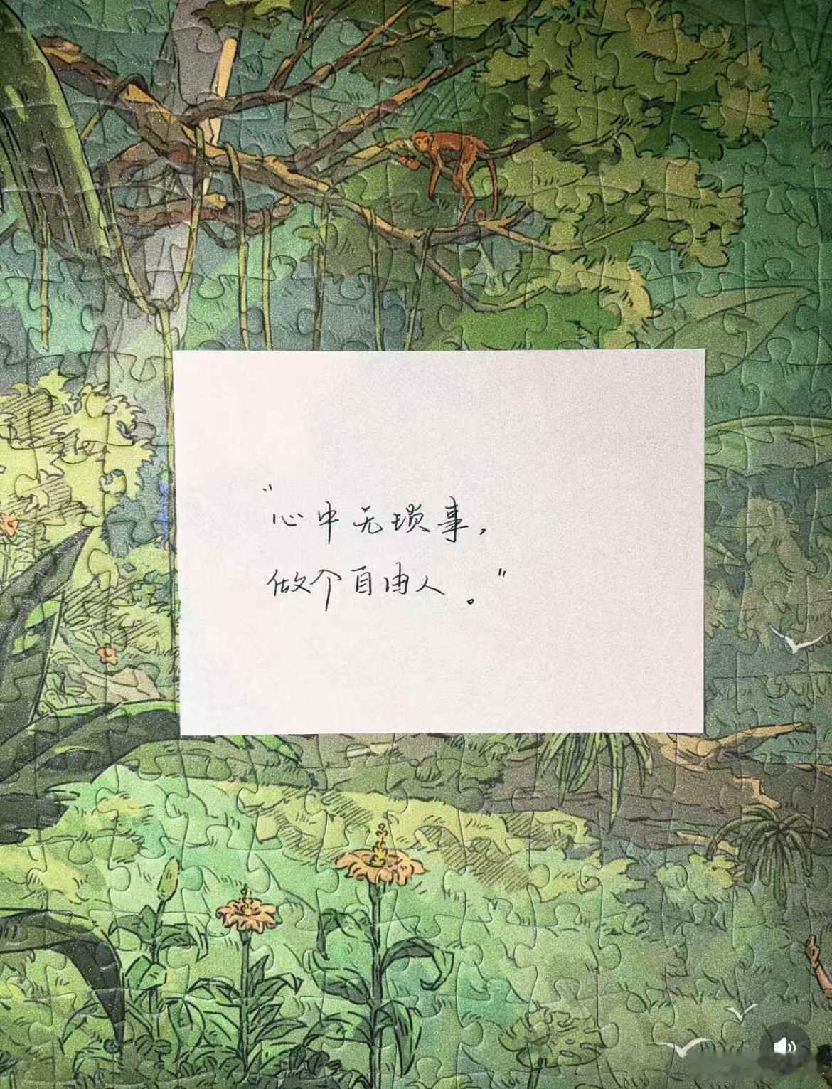 心中无琐事做个自由人wanan晚安💤 ​​​