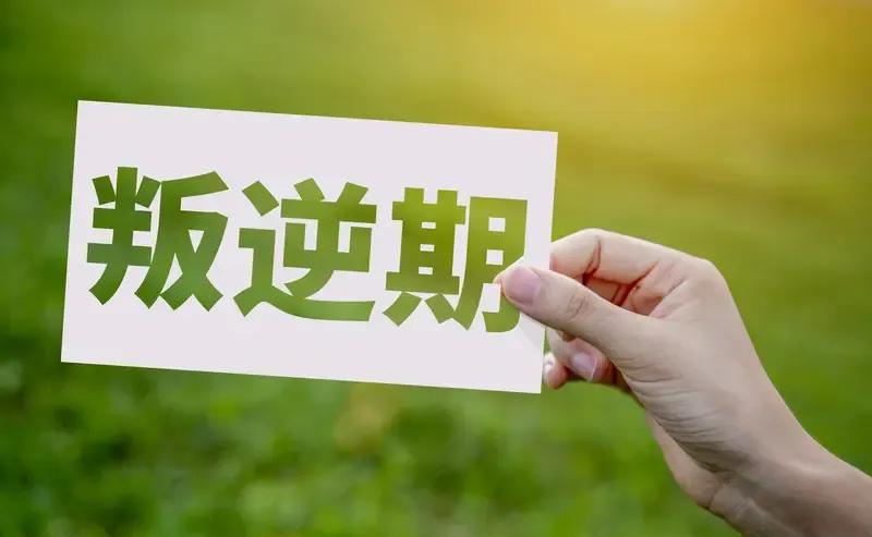 13岁娃一句话能把人气炸

不是变坏了，是大脑还没长好

前额叶像没装好的刹车，