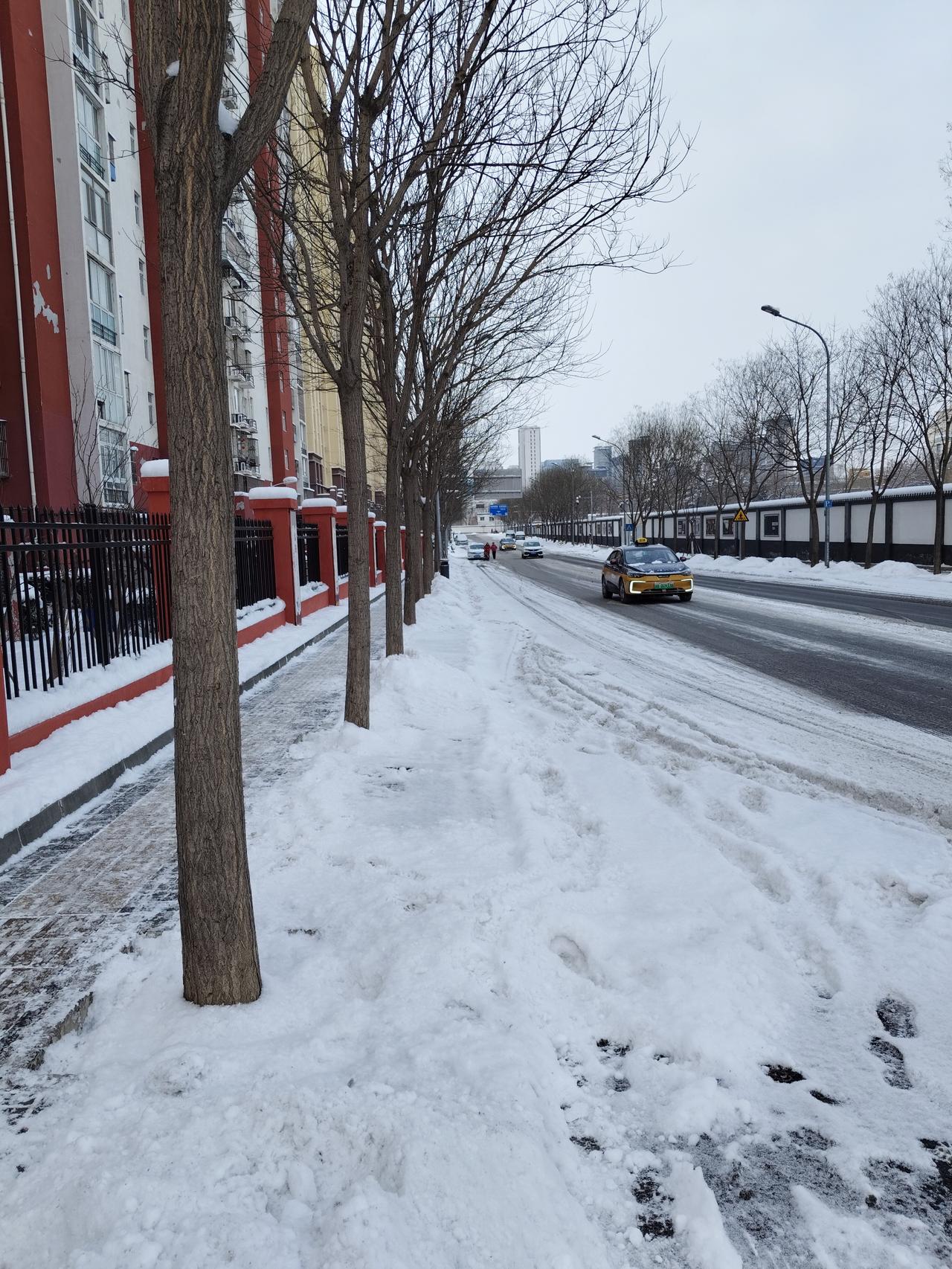 清晨推开窗，天地间已是一片素白。雪花还在慢悠悠地飘，像无数轻盈的羽毛，落在屋顶、