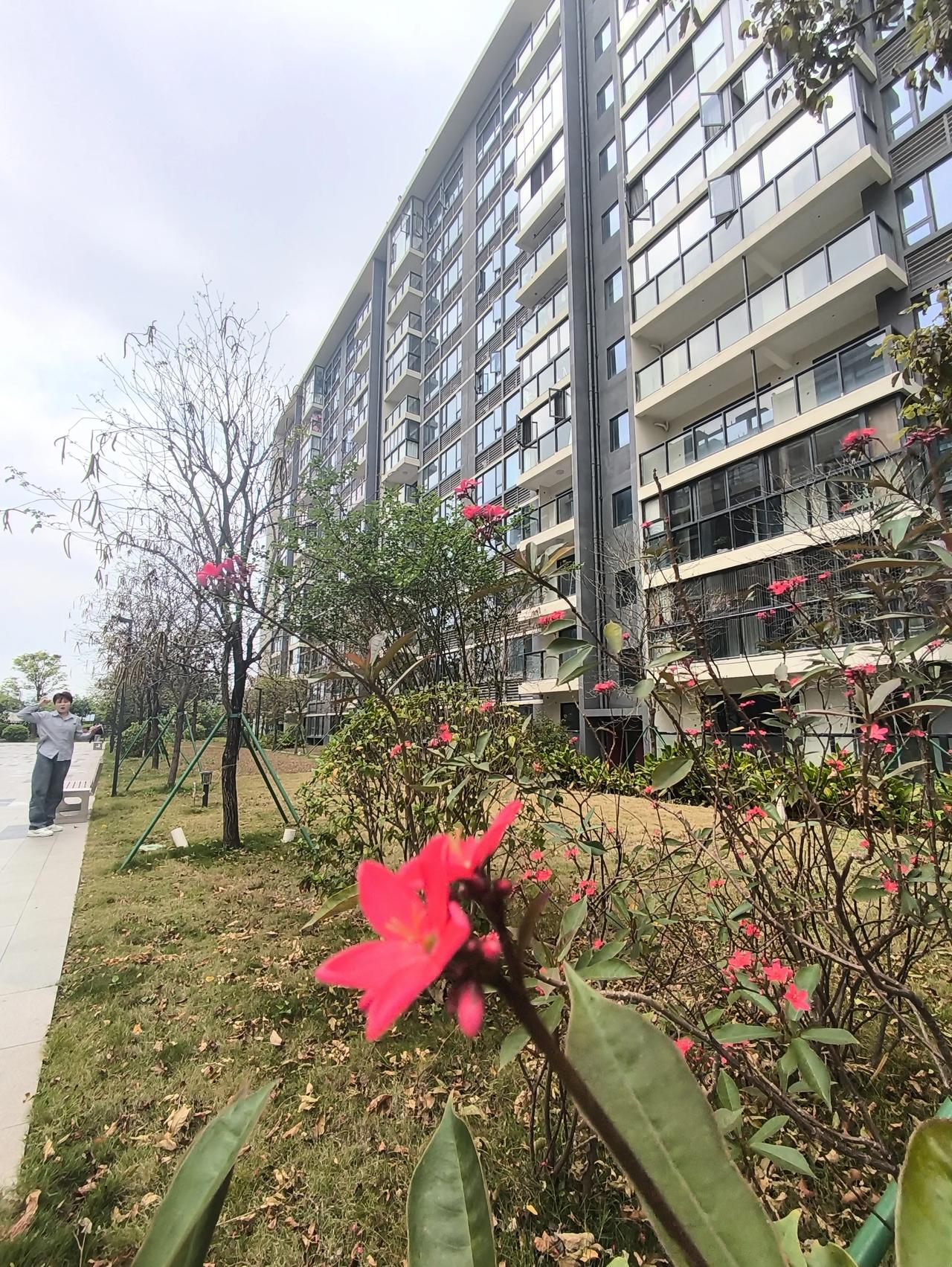 终于还是忍不住在广州买房了
在广州打拼六年了，去年的的时候看上了一套三房两厅的房