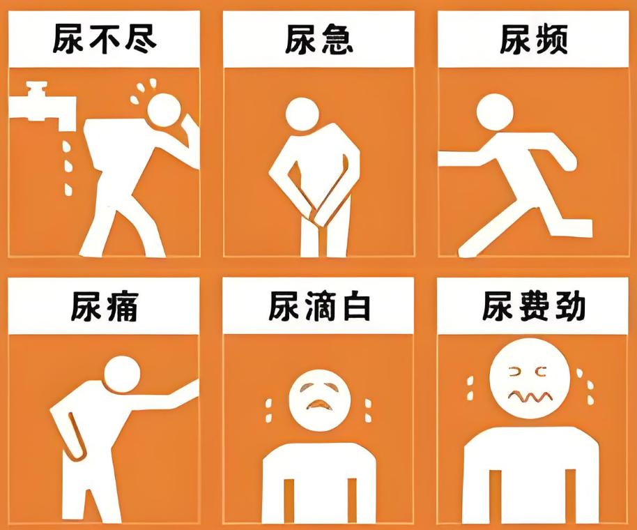 中医调理小便：尿多用金G、尿频用附子，尿闭用柴胡！

一：尿多——肾阳虚
辨证：