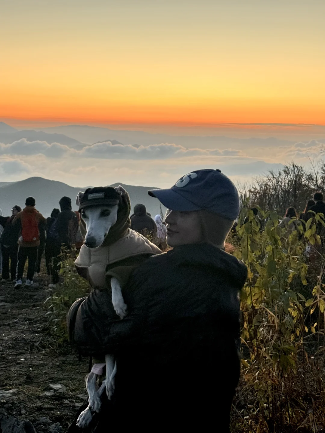 小狗我在松花湖看到了日出云海🌄