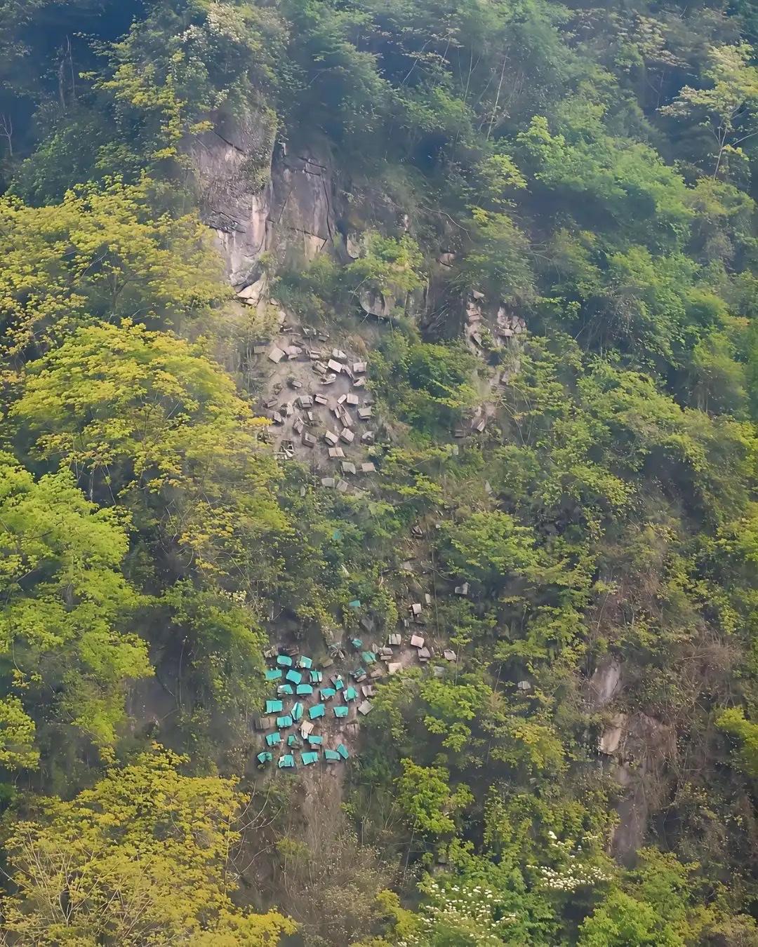 逛青城山后山坐缆车，往悬崖边一看愣住了，山坡岩壁摆满大大小小的木箱子，还有不少盖