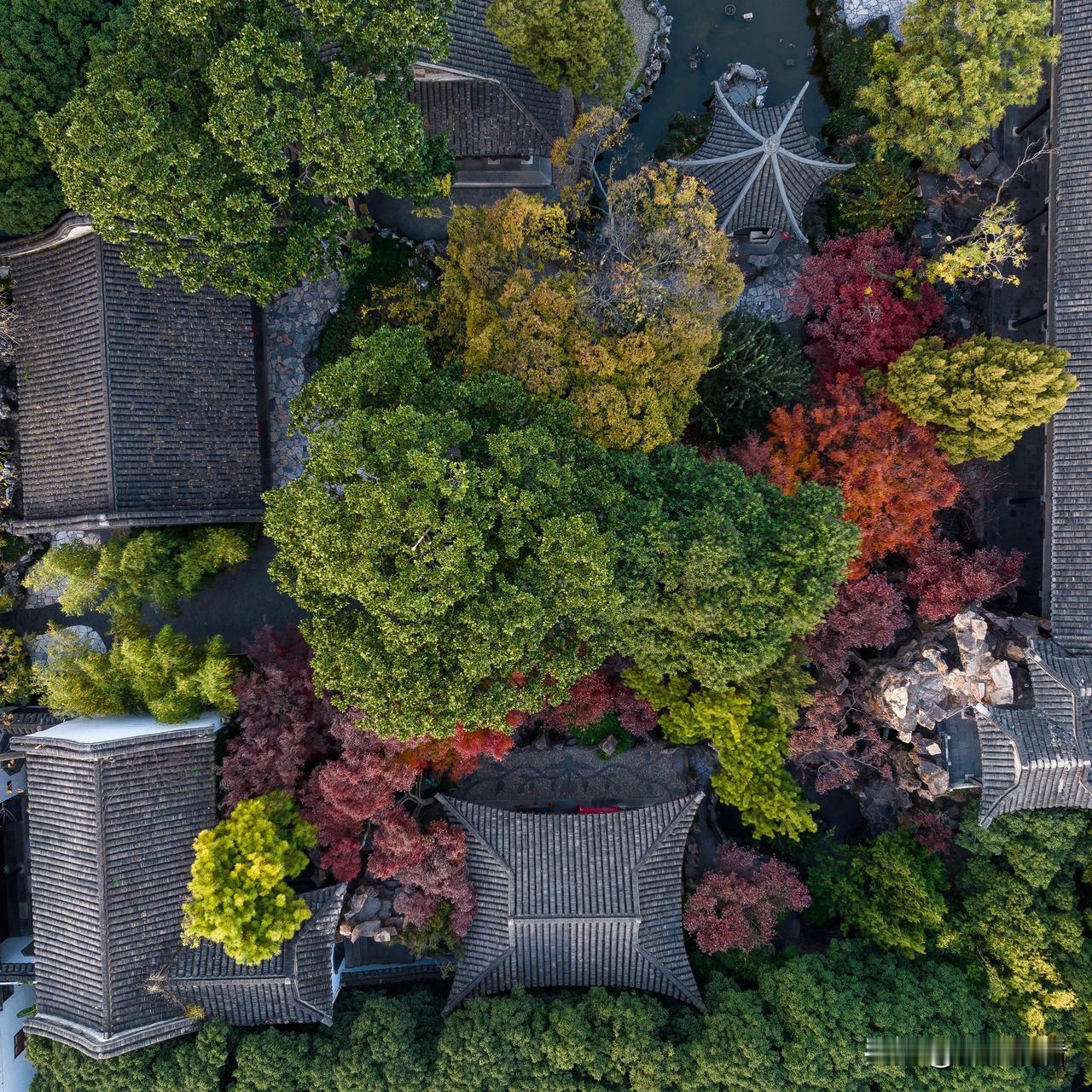 空中看扬州个园