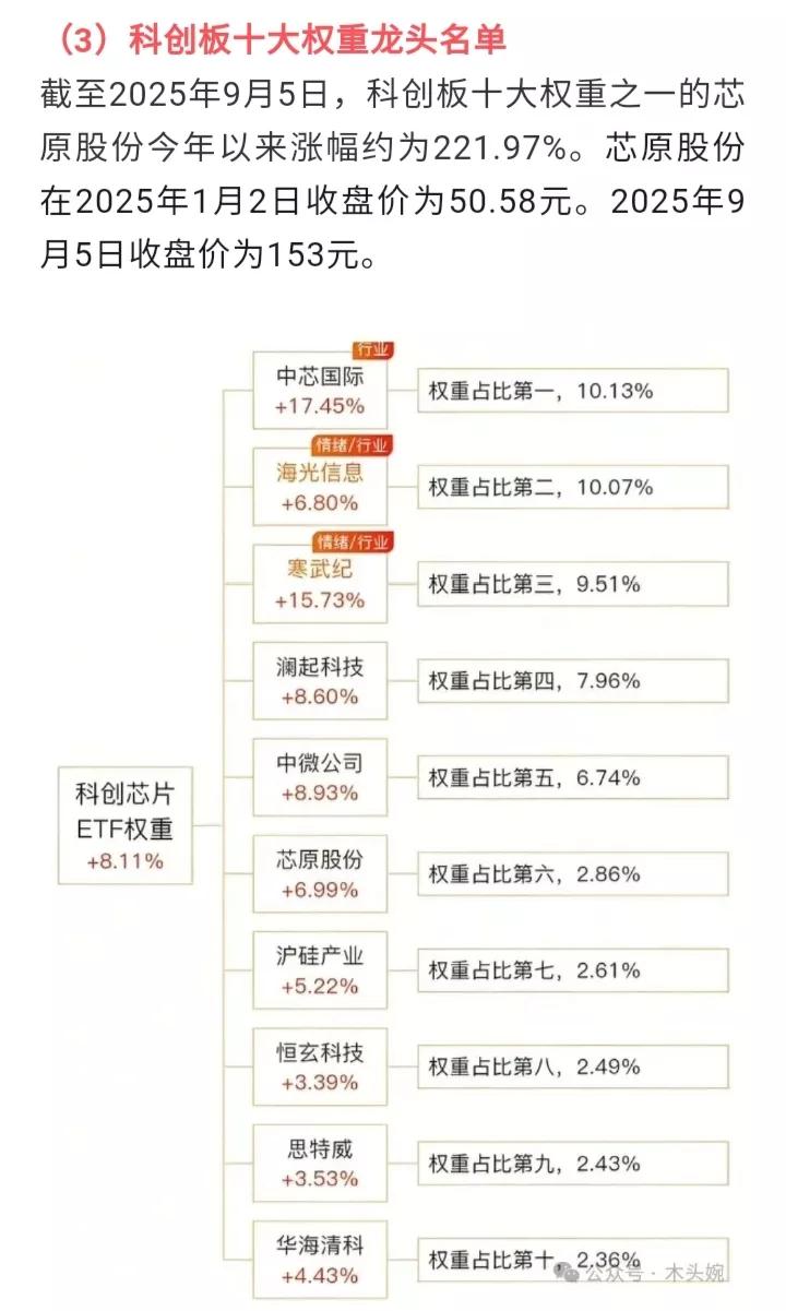 科创板芯片核心权重蓝筹：中芯国际、海光信息、寒武纪等等。