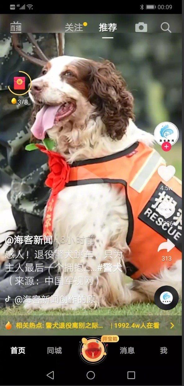 警犬‘’卡韵‘’光荣退役，为了能与训导员作最后一次拥抱，‘’卡韵‘’奋不顾身从车