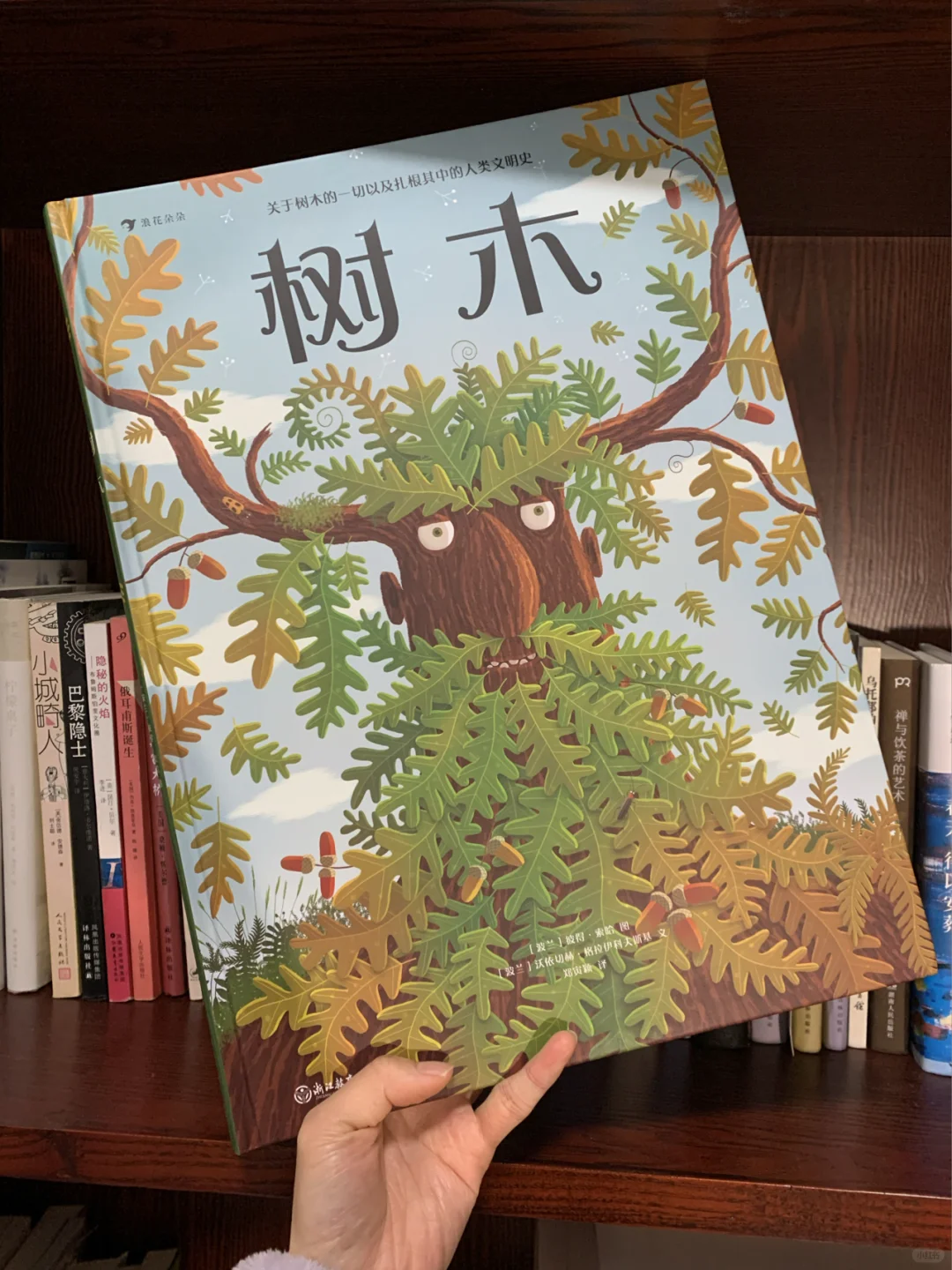 绘本分享 | 一本书让孩子了解树木的一切