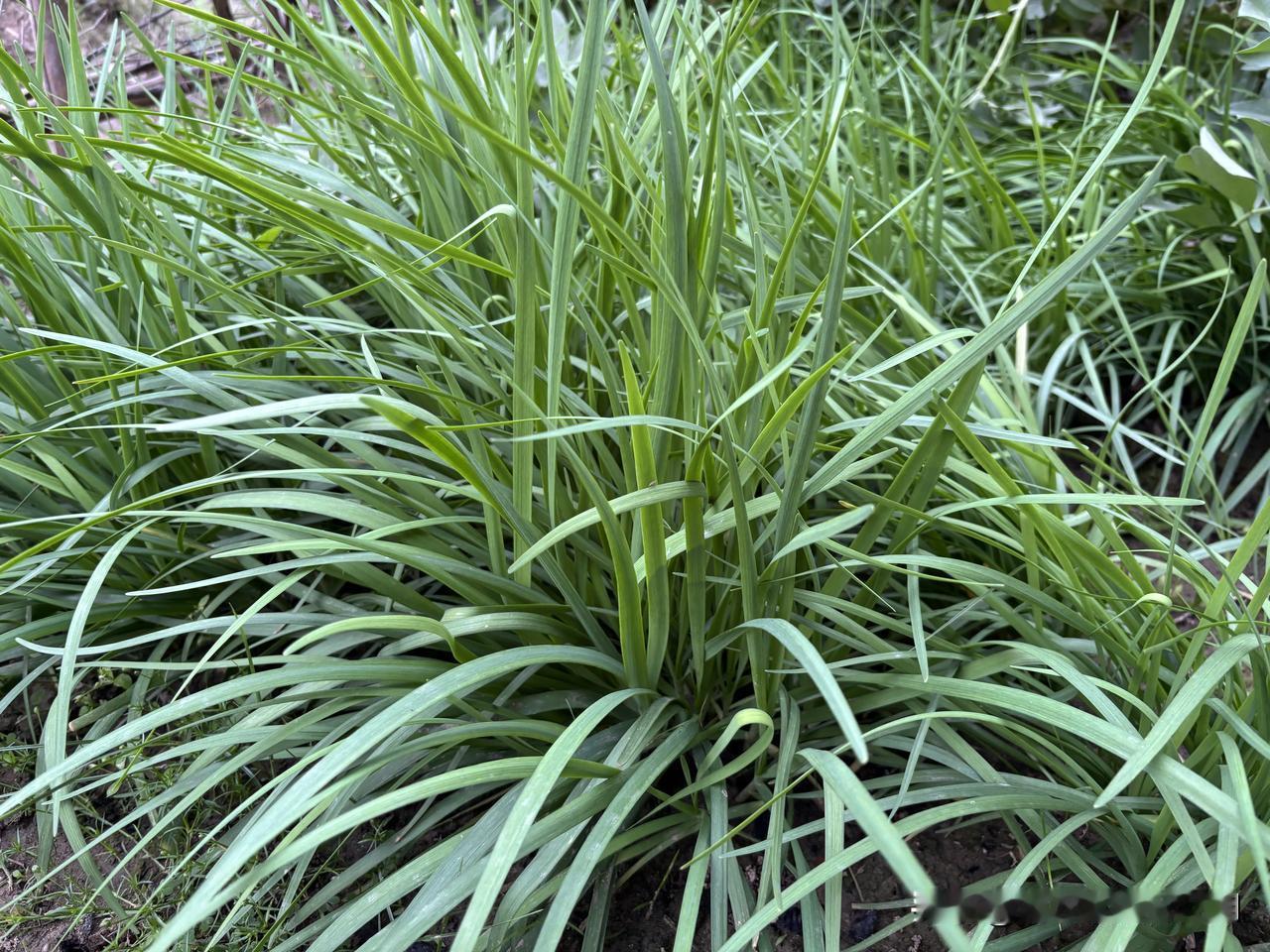 明天开始，我要出去玩几天。

这次出去旅行，已经心心念念了很久，可总是顾虑重重。