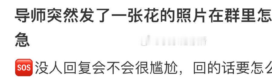导师突然发了一张花的照片在群里怎么回复 ​​​