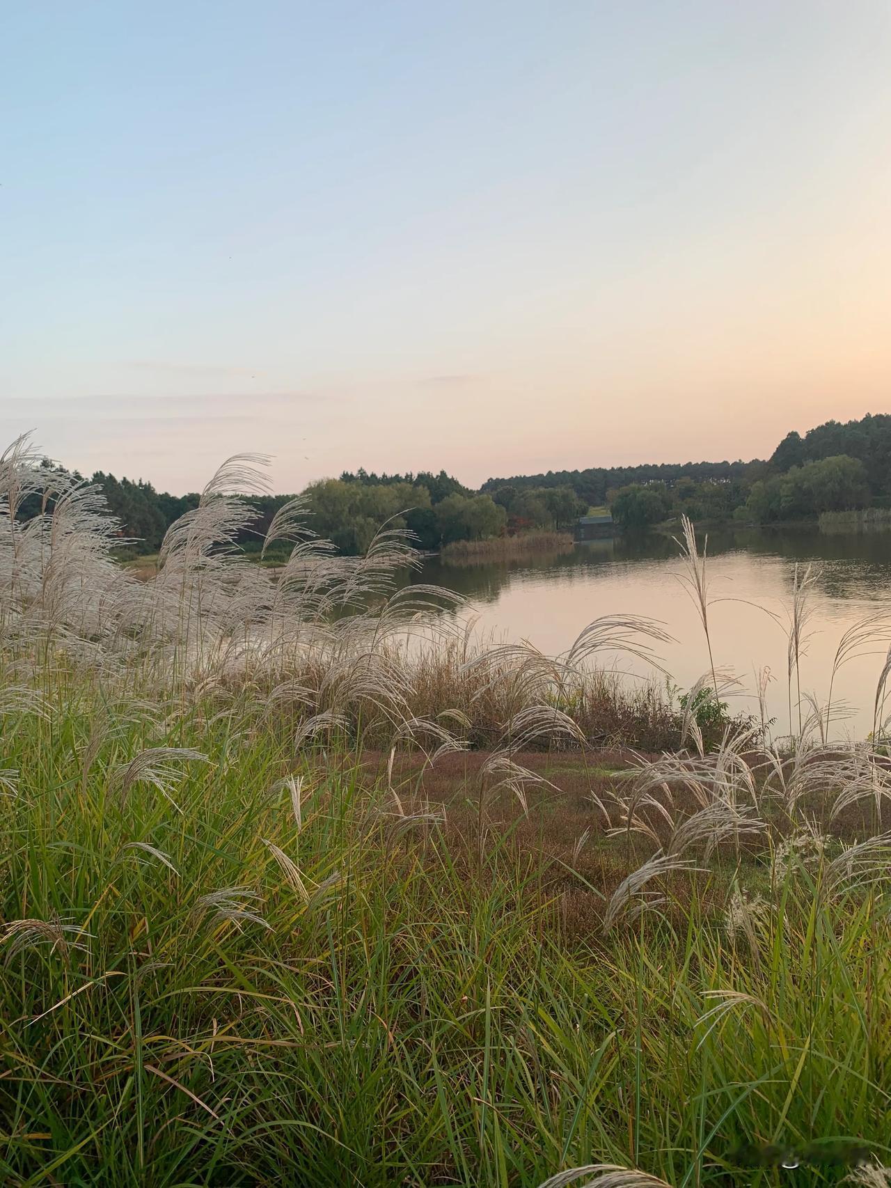 五绝  甲辰自题
张华兴（山西）
江山新气象，六十老天真。
云里宦游客，诗中本色
