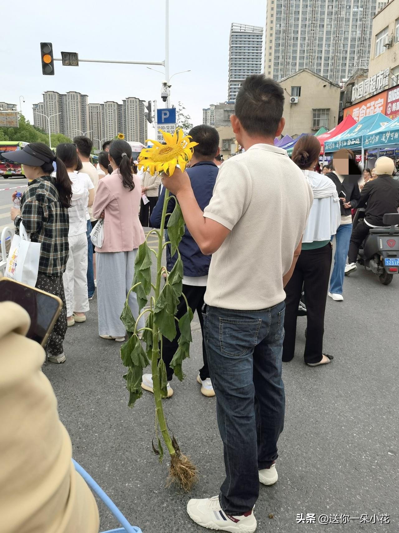 今天在襄阳五中见识到了高考的仪式感：1.连警车尾号都是985；2.一位拿着一株向