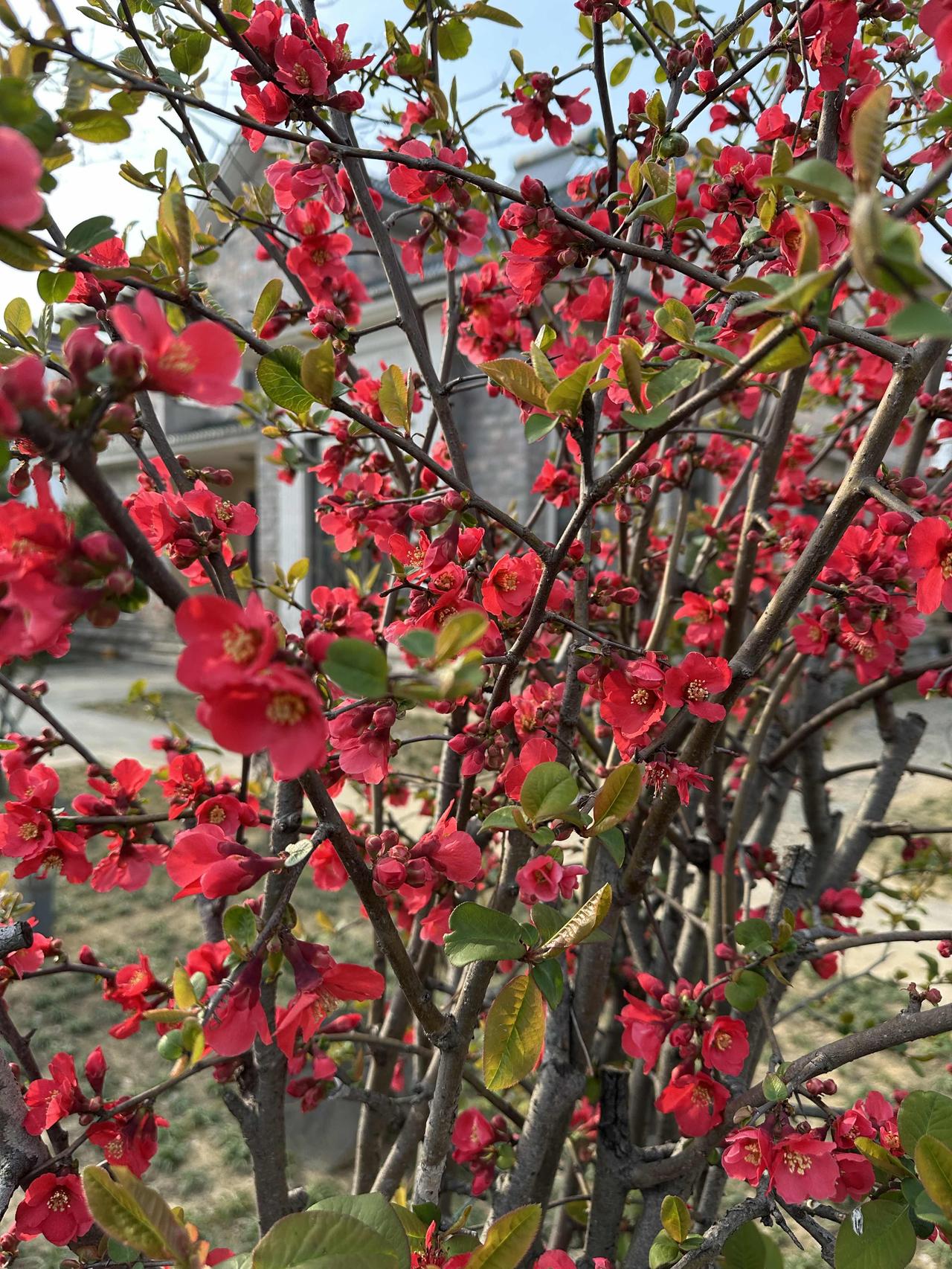 一天一个样，一步一美景