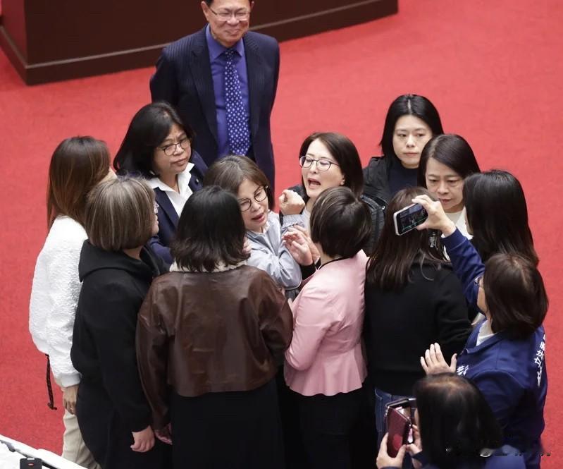 陈玉珍遭王义川叫嚣“中国人走开”！王鸿薇、吴思瑶爆推挤冲突

立院今天（30日）