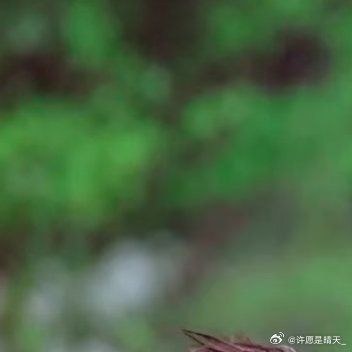 0000平凡的日常里，藏着无限生长的可能。不必执着于轰轰烈烈的成就，把小事做好，
