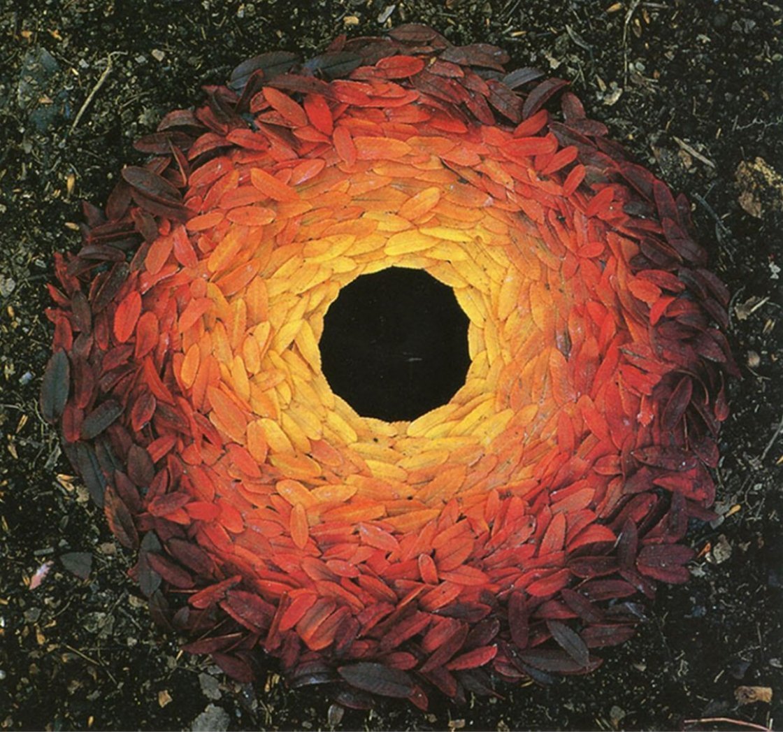 来自大地艺术，发现季节交替之 ℓ Goldsworthy #遇见艺术# ​​​