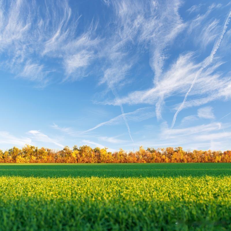 闹养老金这一伙人对反对他们的人恨之入骨，是因为阻挡了他们想吃“白食”的发财之路。