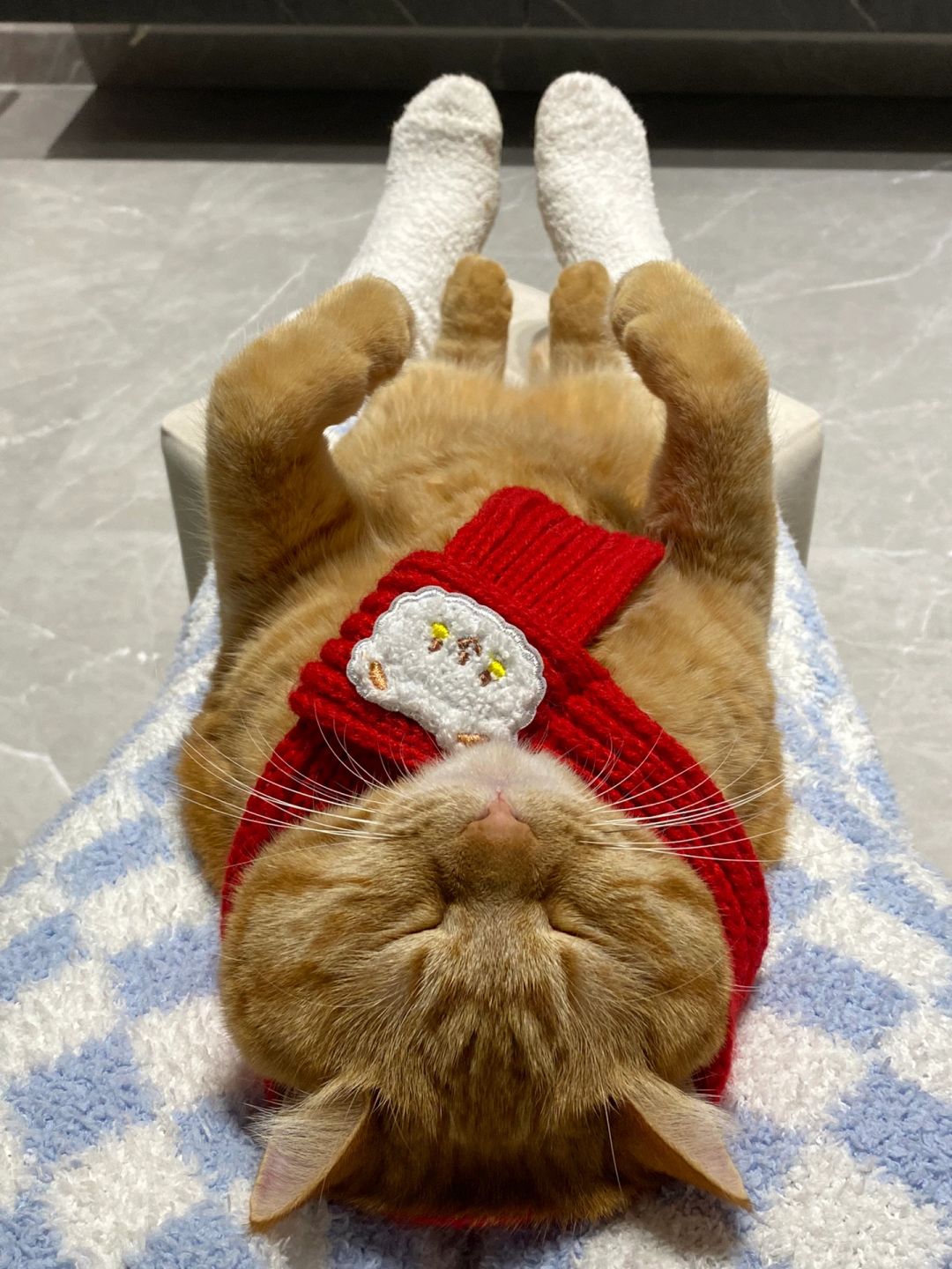 天冷了 看看你们的围巾🧣