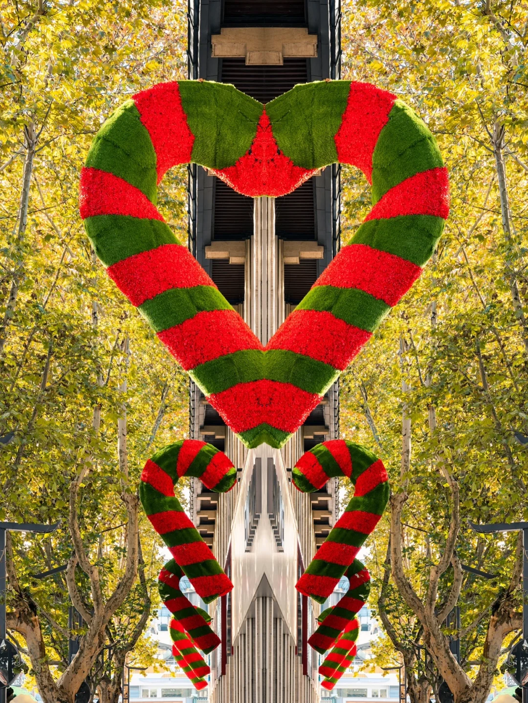 据说圣诞老人已经来到了杭州，不信你看这是他的拐杖