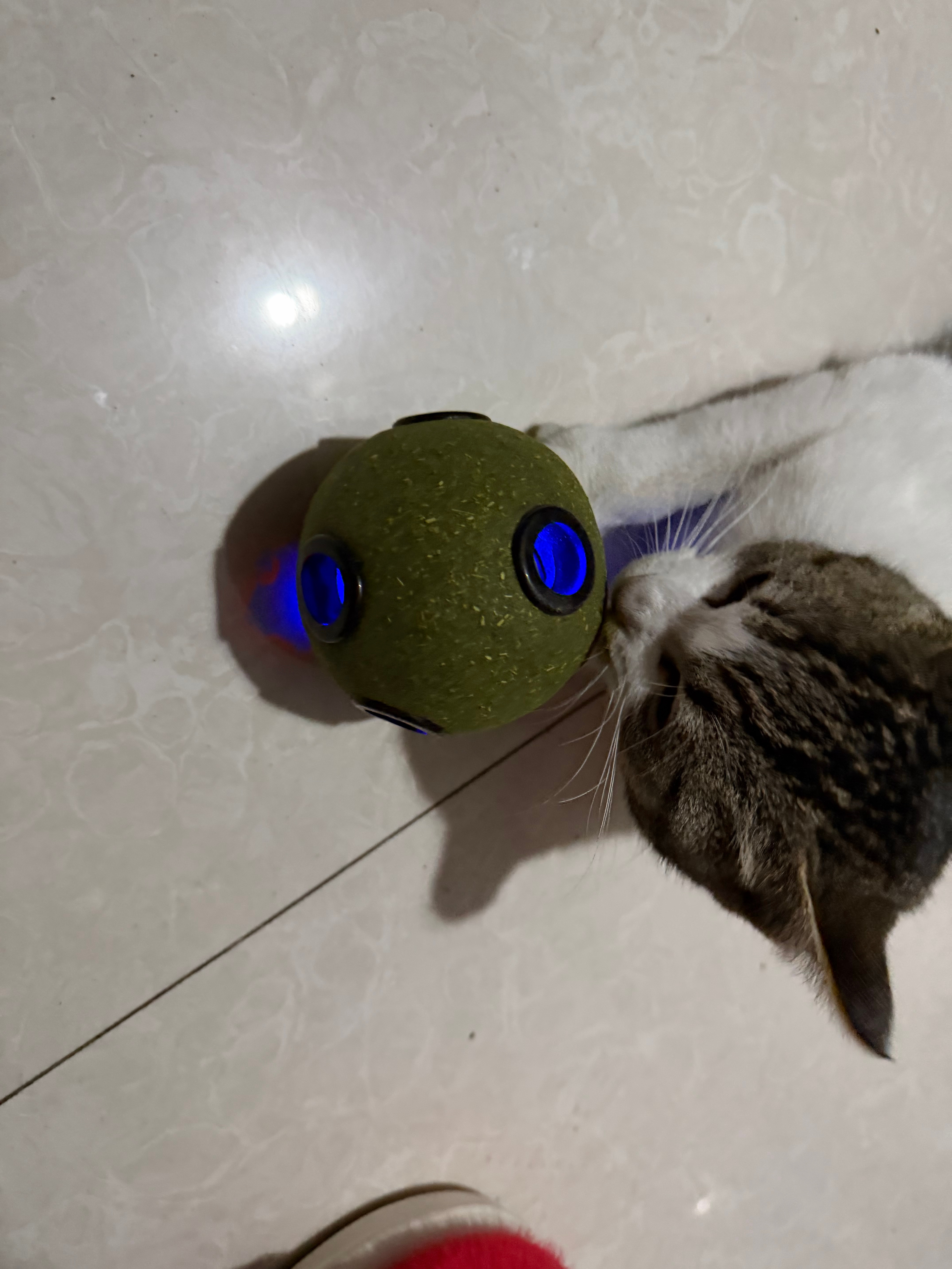 好饿啊啊啊大晚上的 